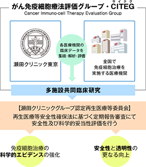 がん免疫細胞療法評価グループ・CITEG サイテグ